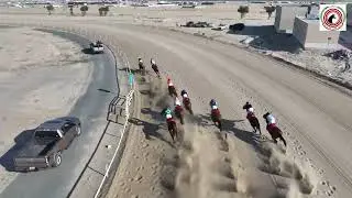 الأجتماع 13 الشوط 2 المركز الأول الجواد مهيوبه اسطبل الرويس