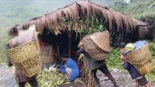Himalayan village Life| The incerdible story of Nepal`s Last Nomads||All season compilacation video|