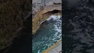 thunder hole 🕳 Acadia national park. Bar Harbor Maine #nationalpark #thunderhole #maine