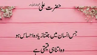 Urdu Quotes Life Lessons l Hazrat Ali Wisdom Words l Zauq