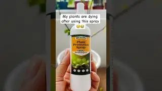 My plants are dying after using plant protection spray😢 || #shortvideo #flowers #shorts #sad