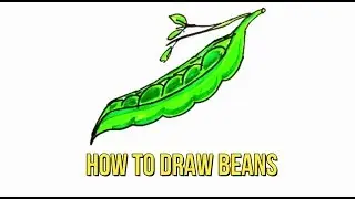 How To Draw a BEANS | Step by Step guide | For Beginners | Child Drawing | Kids Art #39