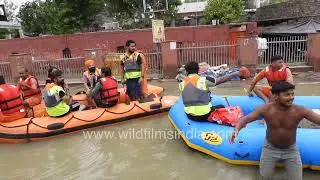 Delhi Flood Rescuers Navigate Paddle Boats Through Rising Water Levels