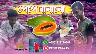 পেপে বানানো খাইলাম🤤 / PePe banano khailam / প্রথম ভিডিও /PATUA PARA TV