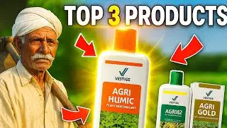 Maximize Your Harvest: Top 3 Crops for Maximum Yield #virl #agri