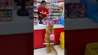 lucu nya kamu pus #viralvideo @RIWORLD @rianarifinnn9285