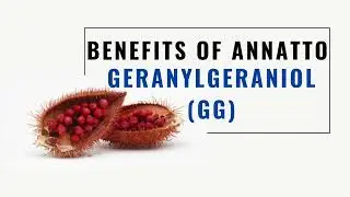Geranylgeraniol GG vs COQ10 What's the Best Choice for Energy Boost