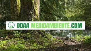 Conoce las salidas profesionales de las oposiciones a OOAA Medioambiente A1,A2,C1