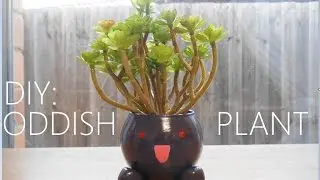 DIY: Oddish Pot Plant