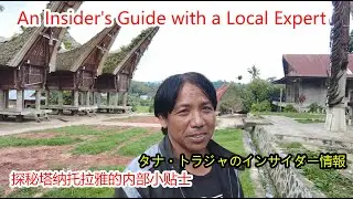 Unveiling Tana Toraja: An Insider's Guide with a Local Expert