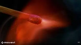 8K resolution nice footage with a great back ground song