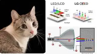 Classical Computing concepts, for Quantum Computing Beginners