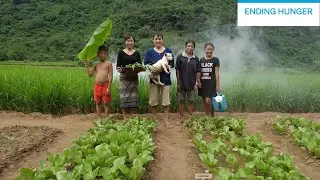 Ending hunger