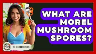 What Are Morel Mushroom Spores? - The Recovery Kitchen