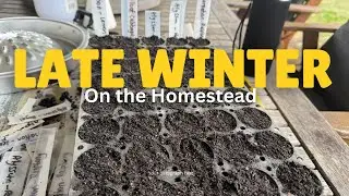 Creek Walk, Seed Sowing and other updates