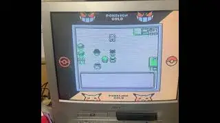 Imposter Professor Oak, Pokemon Gold 97