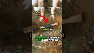 АК-47 против AR-15 похоронены на 100 дней