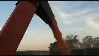 Tolva autodescargable 26000 litros Bombassei