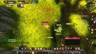 MoP: 86 Retribution Paladin VS 90 Feral Druid!