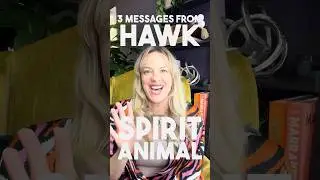 🌟 3 Messages from the Hawk Spirit Animal | Channeling with Rachel Hope Medium