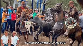 Toada do Cavalo Chamego - Feat Alon Zôa & Ary Zôa!
