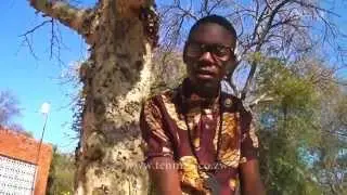 Ras Boom: Badlala Ngami
