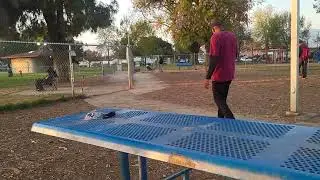 Dogparkfun with bodhi's world