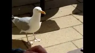 MOV01659