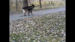 Liebe2