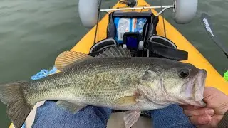 Calero Bass Fishing 2/8/20. Catch a 2.5lber and 1.5lber on Hula Grub. Hobie i9s.