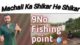 9No Fishing point head baloki Amazing fishing
