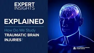 Expert Insights: How Do We Study Traumatic Brain Injuries?
