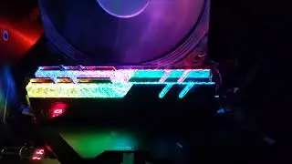 G.Skill Trident Z Royal DDR4-3600 modules with colour LEDs