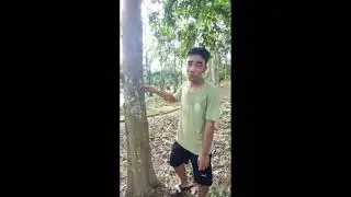 2025 wipro Earthian sustainability and biodiversity Elective activity 3  Habitat for insects