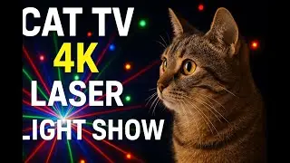 CAT Games | Laser Light Show Cat TV Compilation |  4K Videos For Cats to Watch