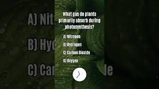 Daily Science Quiz #riddles #brainteasers #quiz