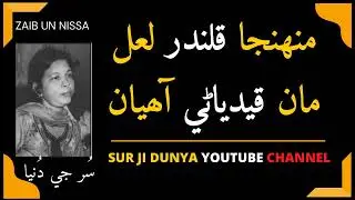 Muhunja Qalandar Lal- Zaib Un Nissa -Sindhi Popular Songs 2023
