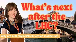What's next after the Large Hadron Collider?