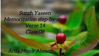 Surah Yaseen Hifz Made Easy |Learn And Feel The Power Of Surah Yaseen |class 8 |verse 14