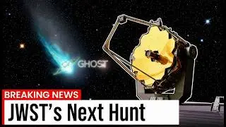 JWST's Next Hunt: Probing Rogue Comets!