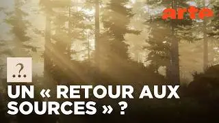 Est-il vrai qu&rsquo;autrefois nous vivions en harmonie avec la nature ? | Est-il vrai que...? | ARTE
