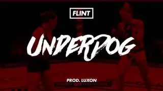 Flint - UNDERDOG (PROD. LUXON) + ERRATA [Filipek DISS]