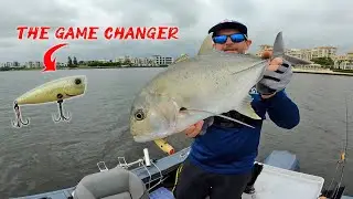 Live Bait Vs Artificial lures... Which catches the biggest fish????  - Saltwater fishing Gold Coast