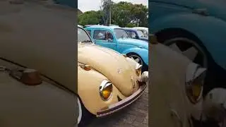 Fusca Lover 3 #shorts