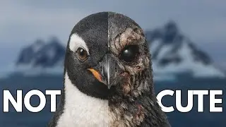Penguins Are Not Just Cute, They Are Brutal