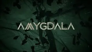 river | house - amygdala