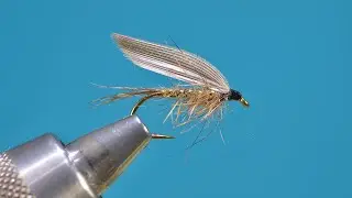 Gold-Ribbed Hare's Ear Wet  Fly with Eric Austin