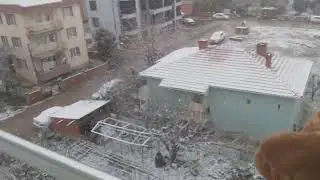 Rustu the Hand Puppet Camel watch the Snow part 32 (Happy New Year 2026)
