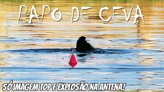 BOIA CEVADEIRA NO PESQUEIRO BOA VISTA - A ANTENA MOEU NA CASA DOS VERD&Otilde;ES! PAPO DE CEVA