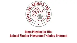 Episode 24 - Dogs Playing for Life